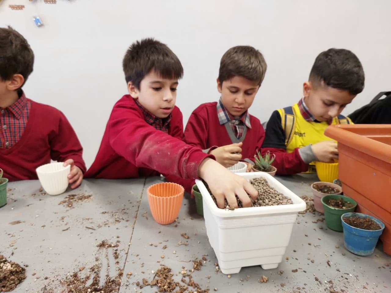 photo_2025-03-16_12-11-30