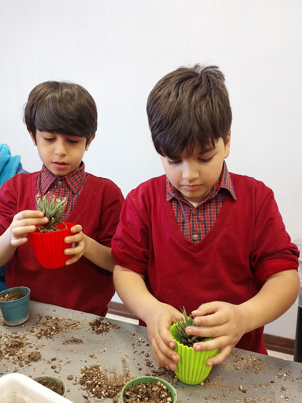 photo_2025-03-16_12-11-34