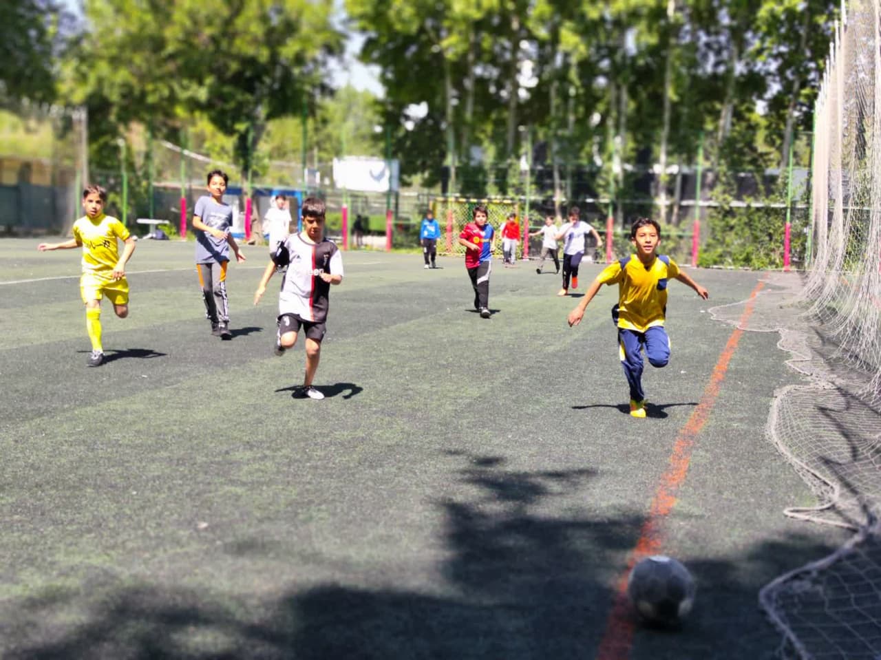 photo_2025-04-27_11-57-29